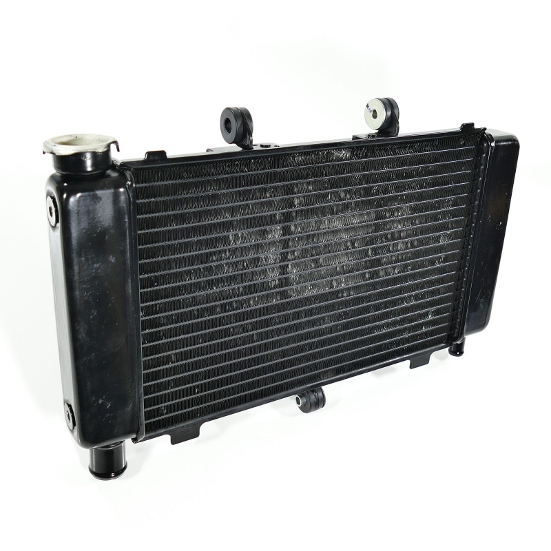 Yamaha (Original OE) - YAMAHA FZ FZ6 FZ6-S RJ07 Fazer Kühler Wasserkühler nur 12809km - Bild  von 8