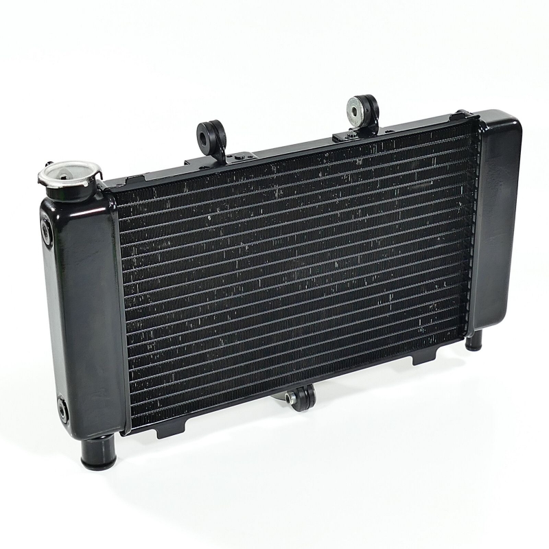 Yamaha (Original OE) - YAMAHA FZ6 FZ6-S RJ07 Fazer Kühler Wasserkühler nur 18732km - Bild  von 7