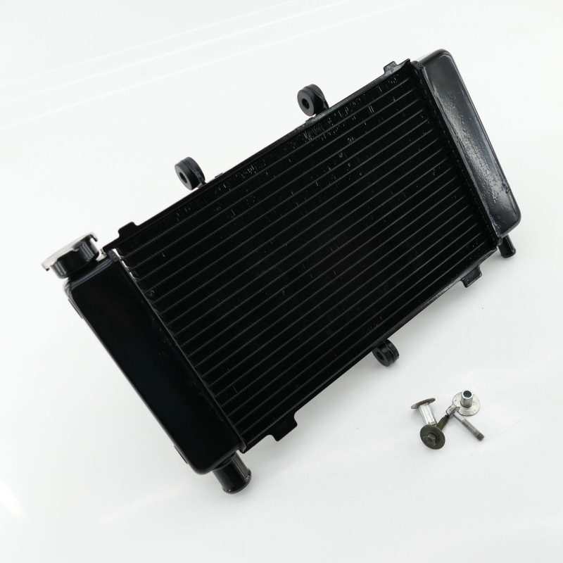 Yamaha (Original OE) - YAMAHA FZ6 FZ6-S RJ07 Fazer Kühler Wasserkühler nur 14397km - Bild  von 9