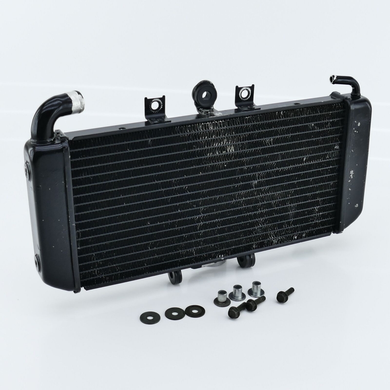 Yamaha (Original OE) - YAMAHA FZS 600 FZS600 RJ02 Fazer Kühler Wasserkühler UNFALLFREI - Bild  von 7