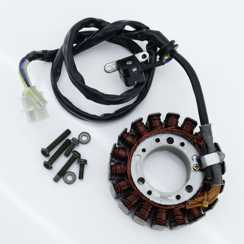 Yamaha (Original OE) - YAMAHA FZS 600 FZS600 RJ02 Fazer Lichtmaschine Lima generator - Bild  von 5