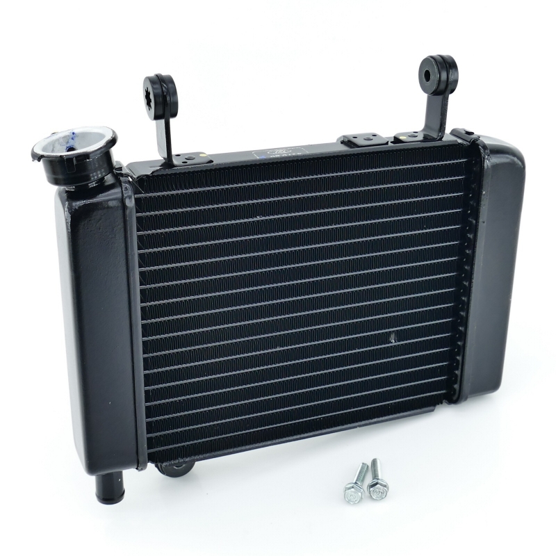 Honda (Original OE) - HONDA CBR125 CBR125R JC39 Kühler Wasserkühler nur 4392km UNFALLFREI - Bild  von 8