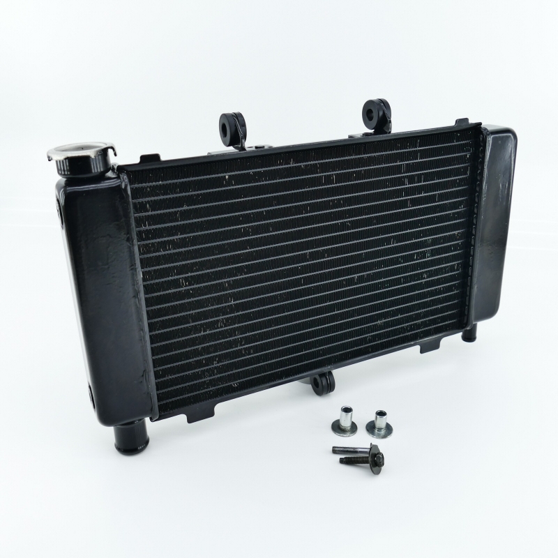 Yamaha (Original OE) - YAMAHA FZ6 FZ6-S RJ07 Fazer Kühler Wasserkühler nur 13960km - Bild  von 7