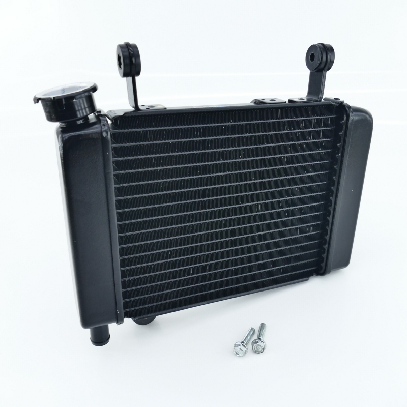 Honda (Original OE) - HONDA CBR125 CBR125R JC39 Kühler Wasserkühler nur 3090km UNFALLFREI - Bild  von 8