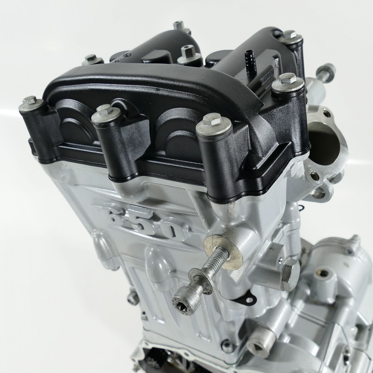 bmw f650 rotax engine