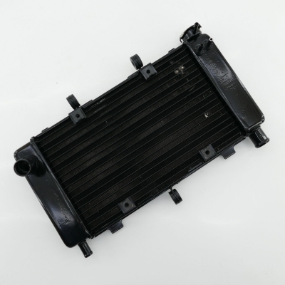 Yamaha (Original OE) - YAMAHA FZ6 FZ6-S RJ07 Fazer Kühler Wasserkühler nur 14397km - Bild 6 von 9