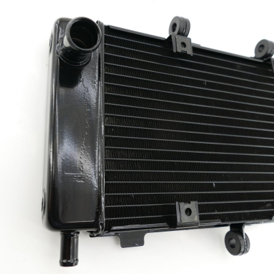 Yamaha (Original OE) - YAMAHA FZ6 FZ6-S RJ07 Fazer Kühler Wasserkühler nur 14397km - Bild 7 von 9