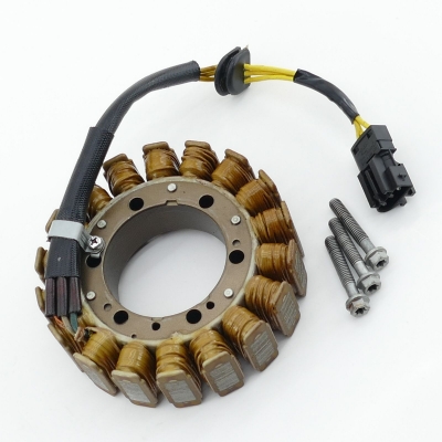 BMW F650 F650GS E650G Lichtmaschine Lima Generator UNFALLFREI