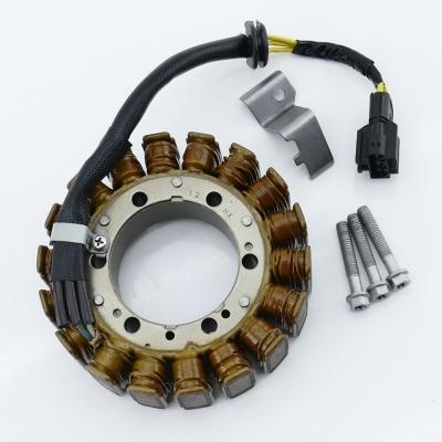 BMW F650 F650GS E650G Lichtmaschine Lima Generator UNFALLFREI