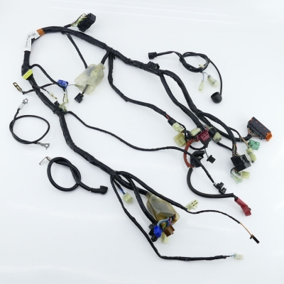 HONDA CBF600 CBF600S PC38 ABS Kabelbaum Hauptkabelbaum Kabel 32100-MER-D201