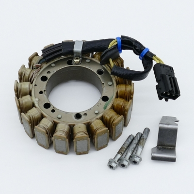 BMW F650 F650GS E650G Lichtmaschine Lima Generator UNFALLFREI