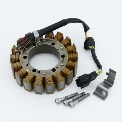 BMW F650 F650GS E650G Lichtmaschine Lima Generator nur 18112km