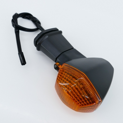 SUZUKI GSF1200 GSF1200S Bandit WVA9 original Blinker hinten rechts Blinklicht
