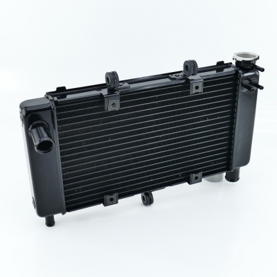 Yamaha (Original OE) - YAMAHA FZ6 FZ6-S RJ07 Fazer Kühler Wasserkühler nur 16733km - Bild 4 von 7