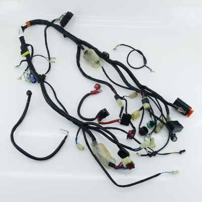 HONDA CBF600 CBF600S PC38 Kabelbaum Hauptkabelbaum Kabel 32100-MER-D201