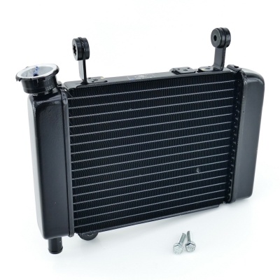 HONDA CBR125 CBR125R JC39 Kühler Wasserkühler nur 4392km UNFALLFREI