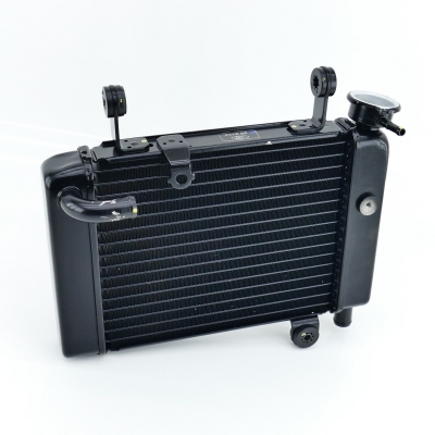 Honda (Original OE) - HONDA CBR125 CBR125R JC39 Kühler Wasserkühler nur 4392km UNFALLFREI - Bild 4 von 8