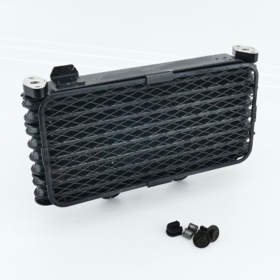 SUZUKI GSF600 GSF600S WVA8 Denso Ölkühler Oelkühler Öl Kühler nur 16608km