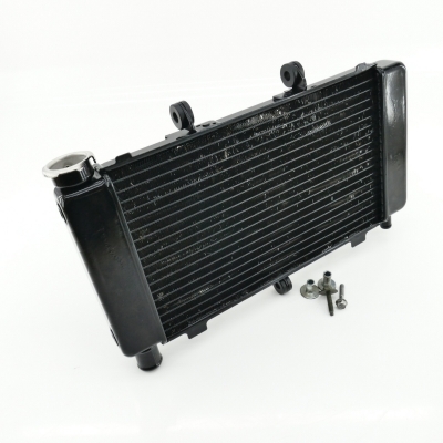 YAMAHA FZ6 FZ6-S RJ07 Fazer Kühler Wasserkühler nur 9771km