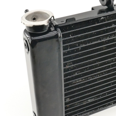 Yamaha (Original OE) - YAMAHA FZ6 FZ6-S RJ07 Fazer Kühler Wasserkühler nur 9771km - Bild 2 von 7