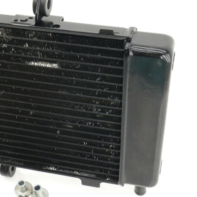 Yamaha (Original OE) - YAMAHA FZ6 FZ6-S RJ07 Fazer Kühler Wasserkühler nur 9771km - Bild 3 von 7