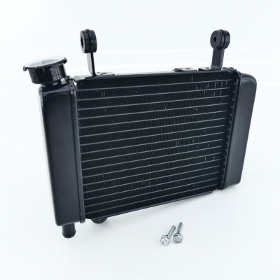 HONDA CBR125 CBR125R JC39 Kühler Wasserkühler nur 3090km UNFALLFREI