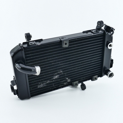 Suzuki (Original OE) - SUZUKI SV650 SV650S AV Kühler Wasserkühler UNFALLFREI nur 9291km - Bild 4 von 9