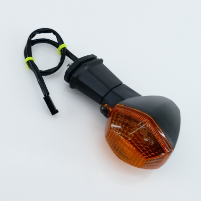 SUZUKI GSF600 GSF600S WVA8 Blinker hinten rechts Blinkleuchte UNFALLFREI