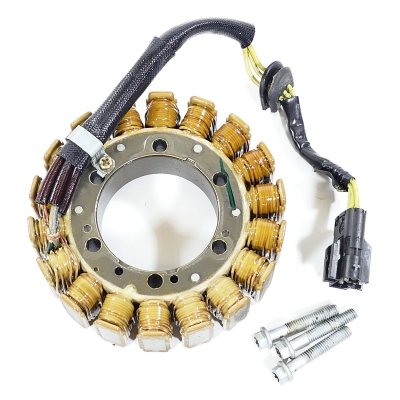 BMW F650 F650GS E650G Lichtmaschine Lima Generator nur 15698km