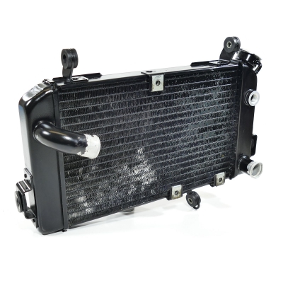 Suzuki (Original OE) - SUZUKI SV SV650 SV650S AV 1999 - 2002 Kühler Wasserkühler nur 15565km - Bild 5 von 9